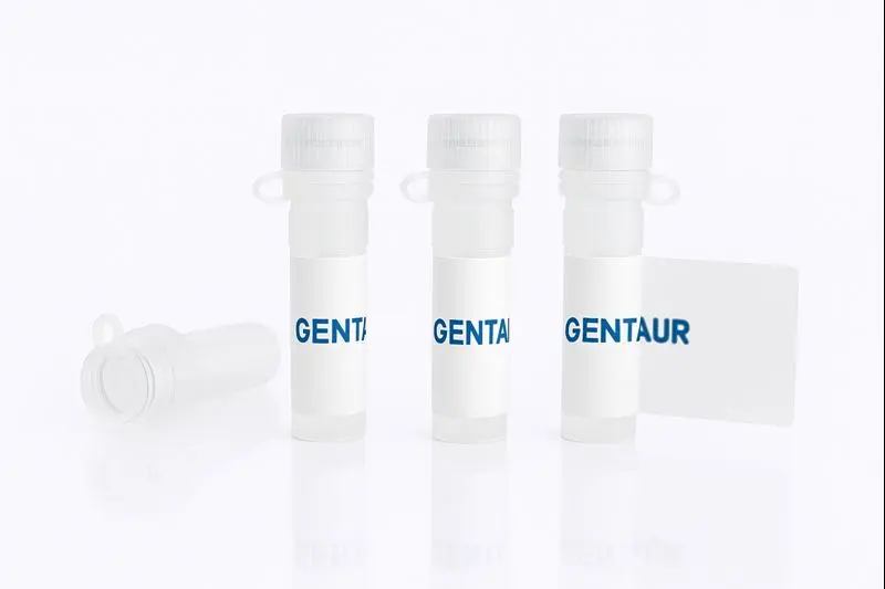 DCAF9/DDB1, Human (Active, sf9, His, Strep)