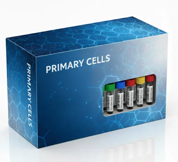 DBA/2 Mouse Splenocytes, 25M cells/vial